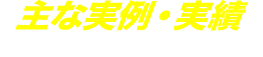 主な実例・実績